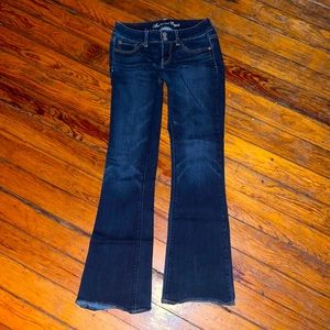 American Eagle Flare Leg Artist Jeans